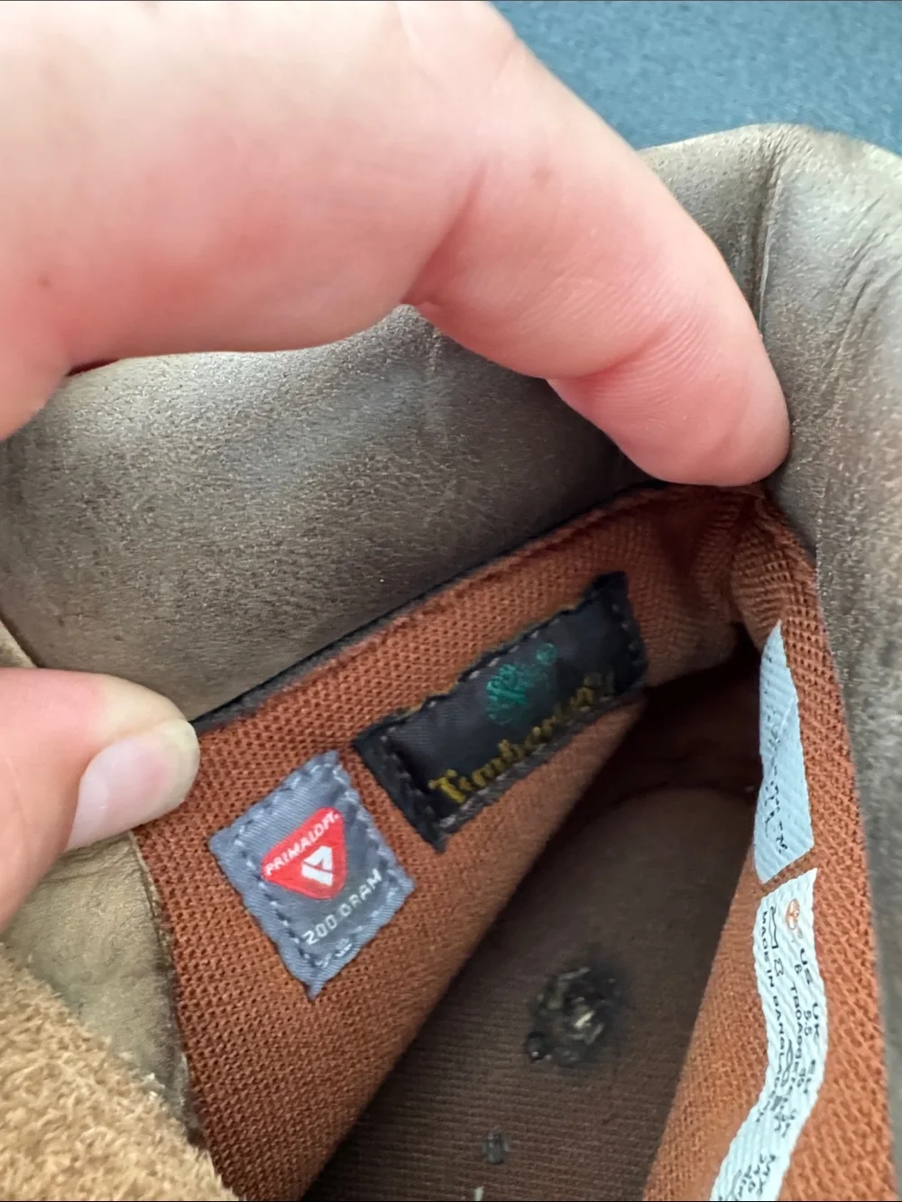 Timberland junior premium